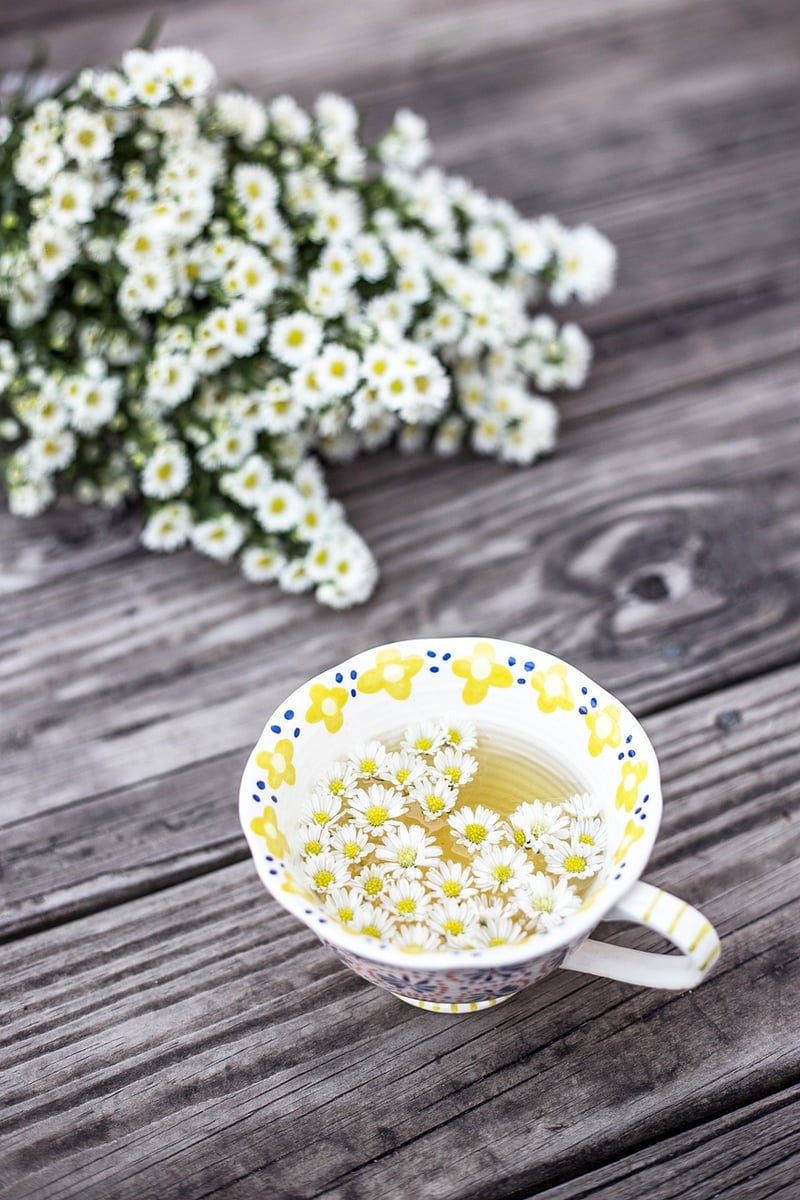 Chamomile